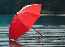 Rain Umbrella